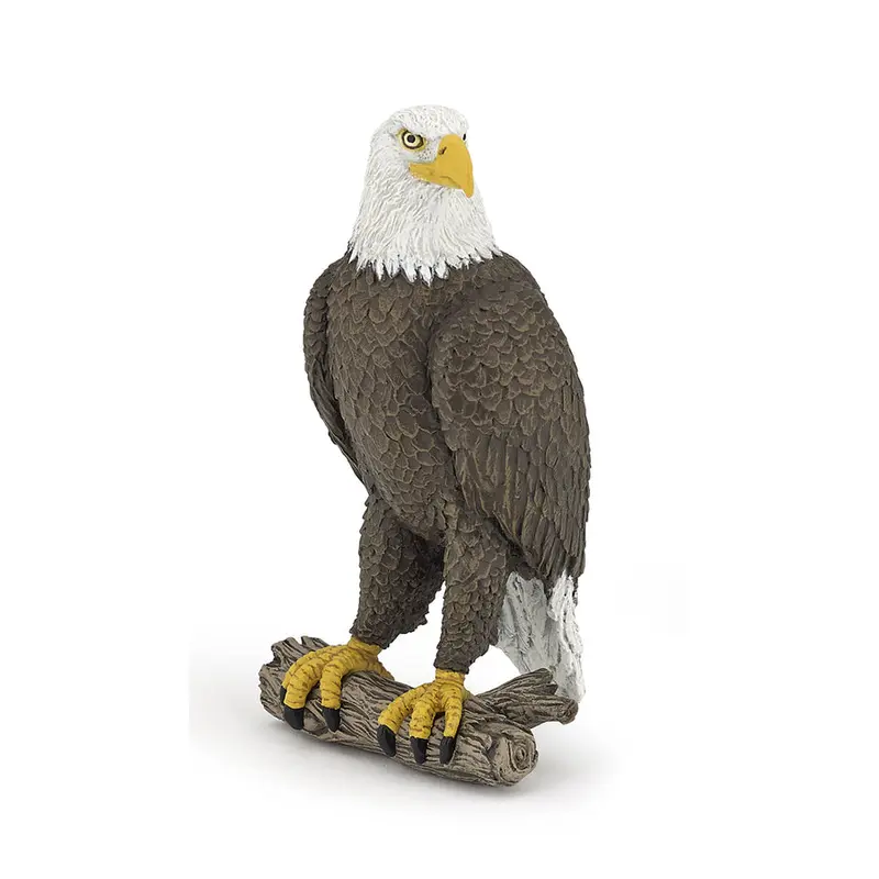 Águila Calva