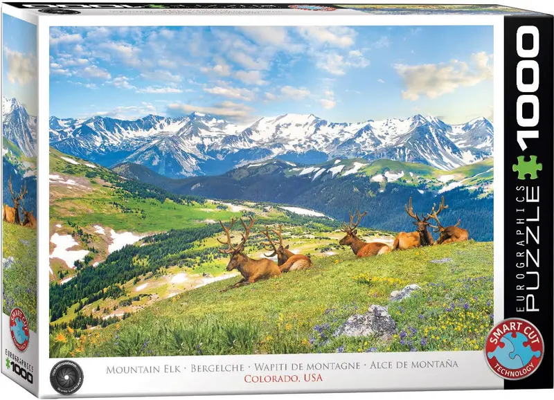 Alces de Montaña - Colorado - EE. UU.