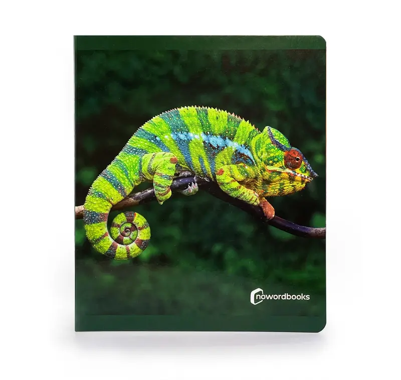 Animales de la selva - Nowordbooks