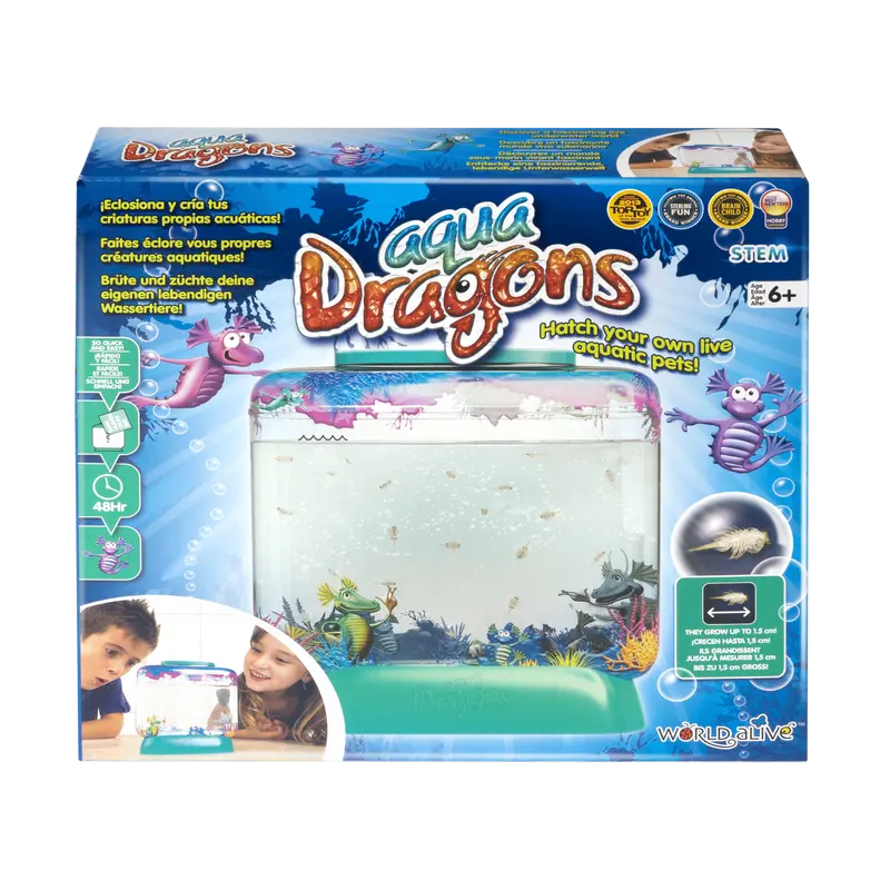 Aqua Dragons Underwater World