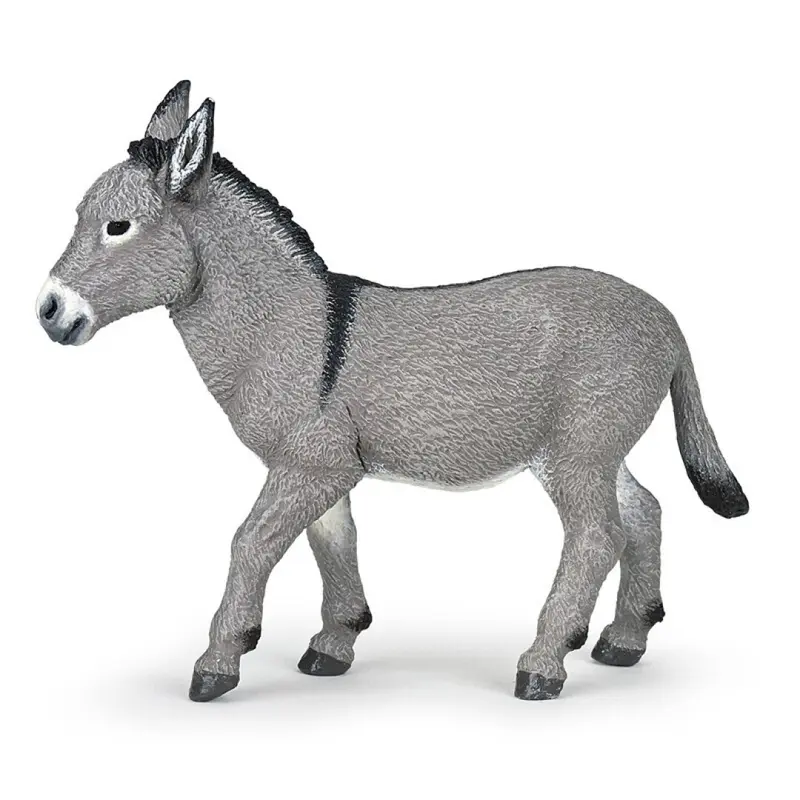 Asno de Provenza
