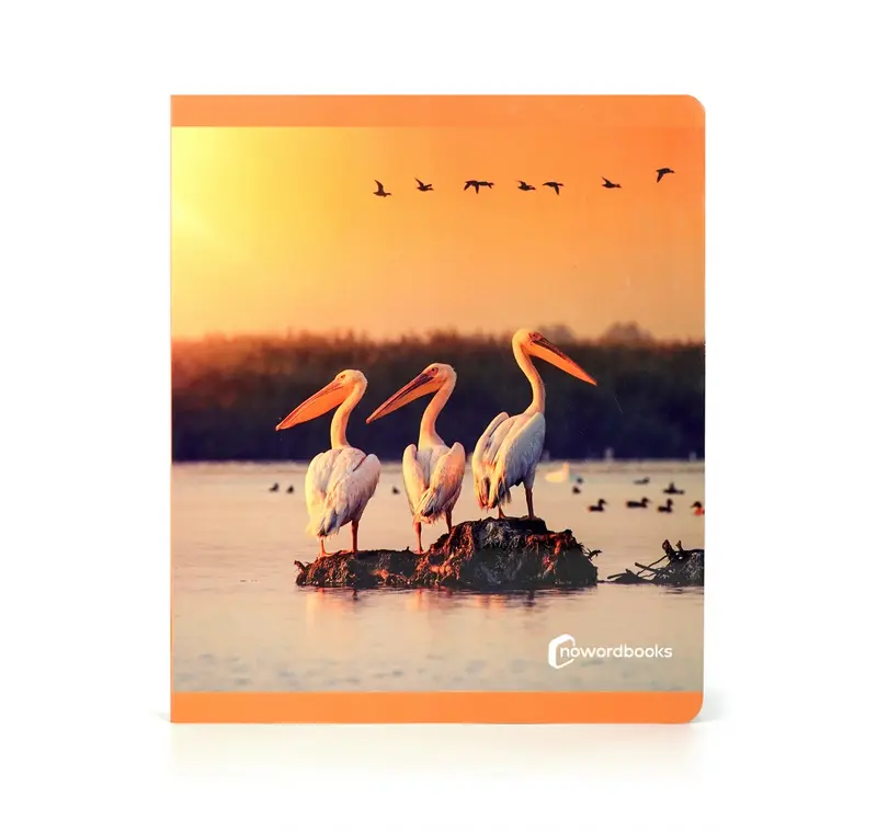 Aves gran formato - Nowordbooks