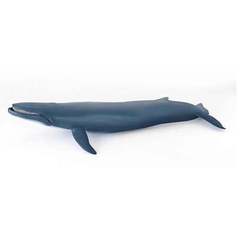 Ballena Azul