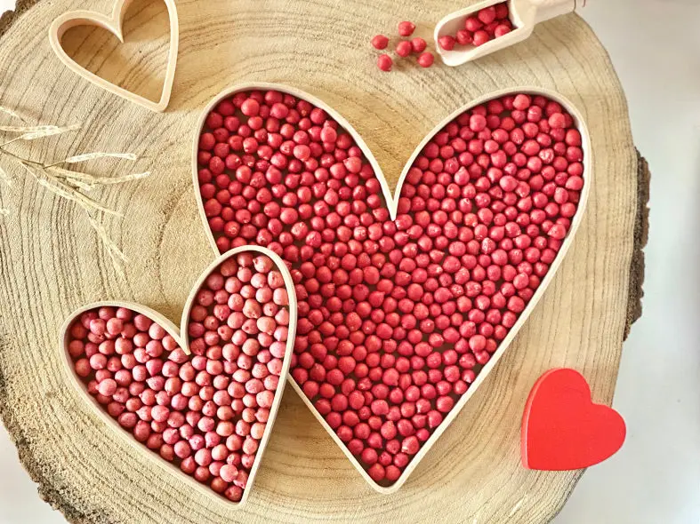 Bandeja Rellenable Corazones