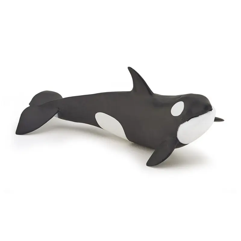 Bebe Orca