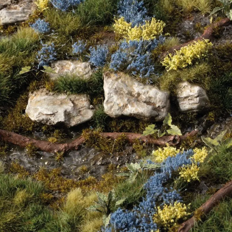 Bluebeard Flowers