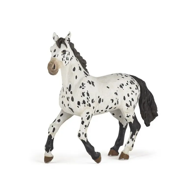 Caballo Appaloosa negro