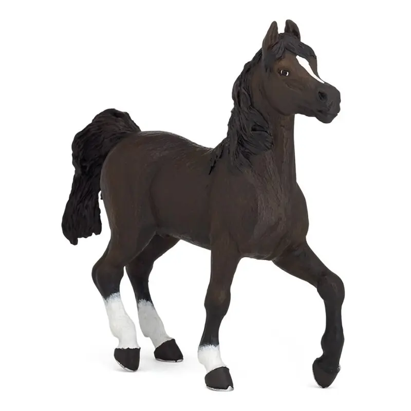 Caballo Arabe