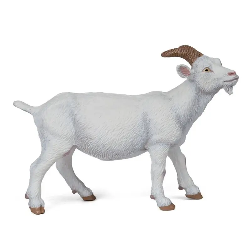 Cabrá blanca
