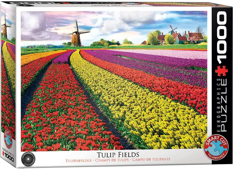 Campo de tulipanes - Países Bajos