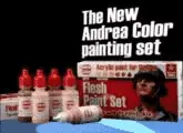 CARNE DE PINTURA