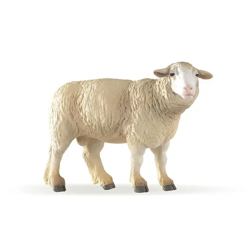 Carnero Merinos