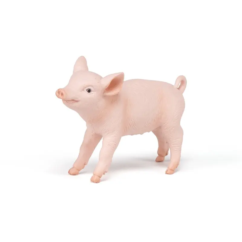 Cerdito Hembra