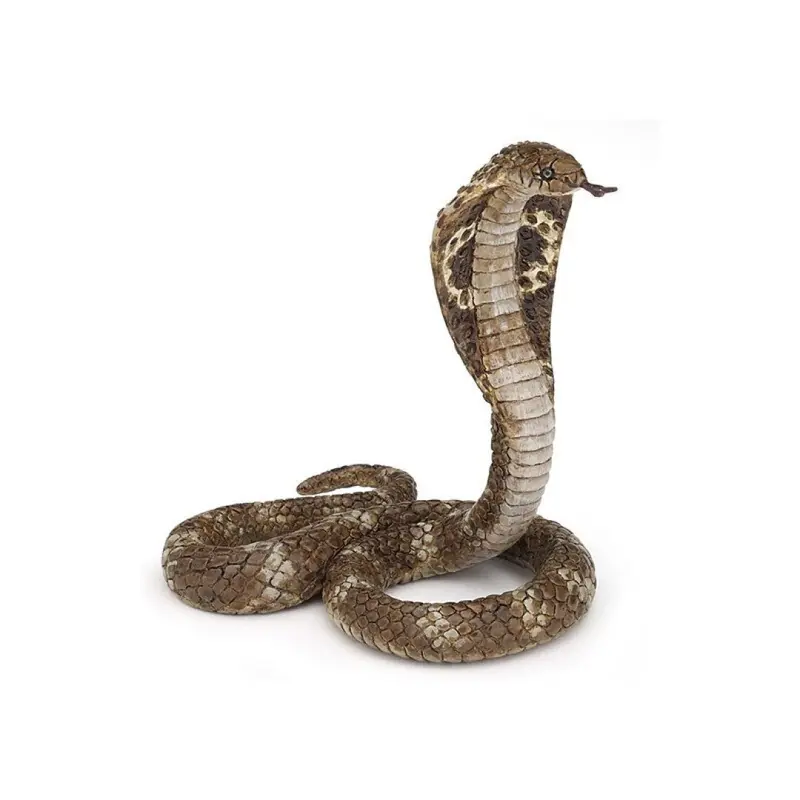 Cobra Real