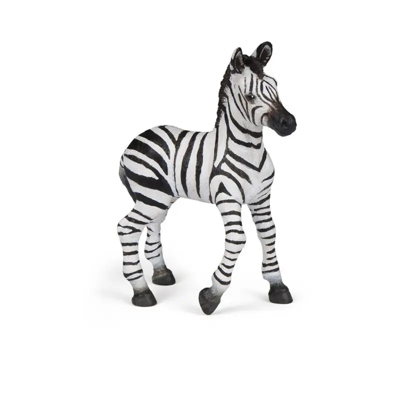 Cria de Cebra