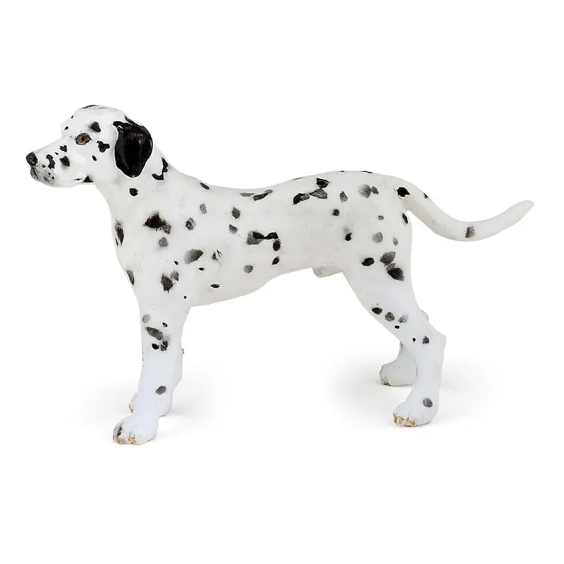Dalmata