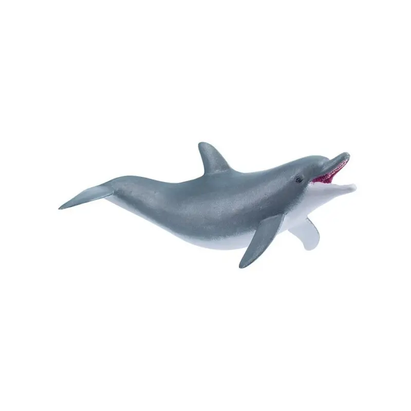 Delfin Jugando