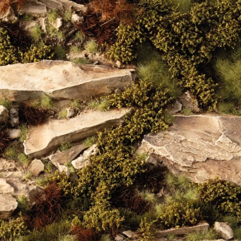 Dry Green Shrubs