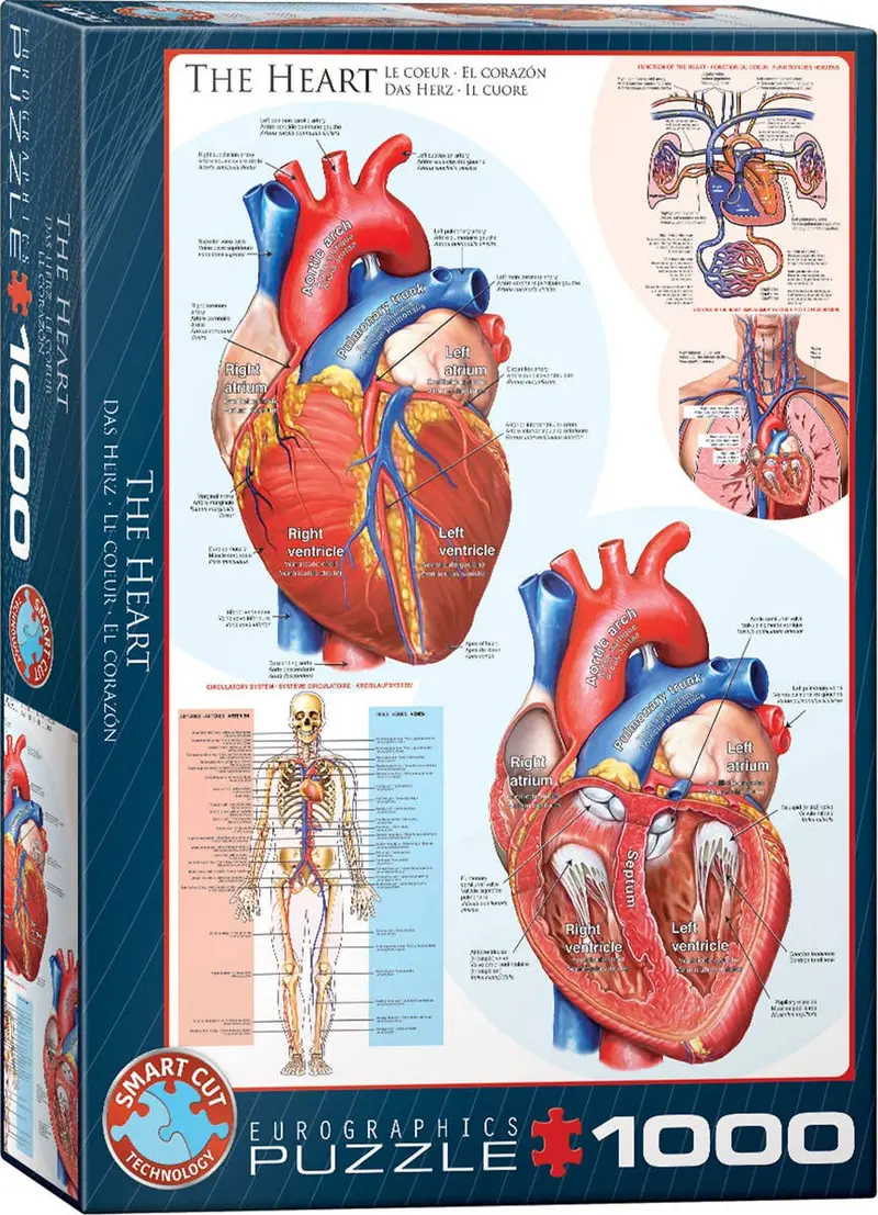 El Corazón