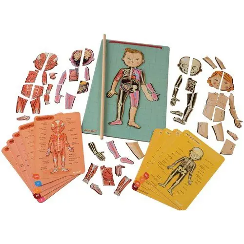 El cuerpo humano magnetico - janod