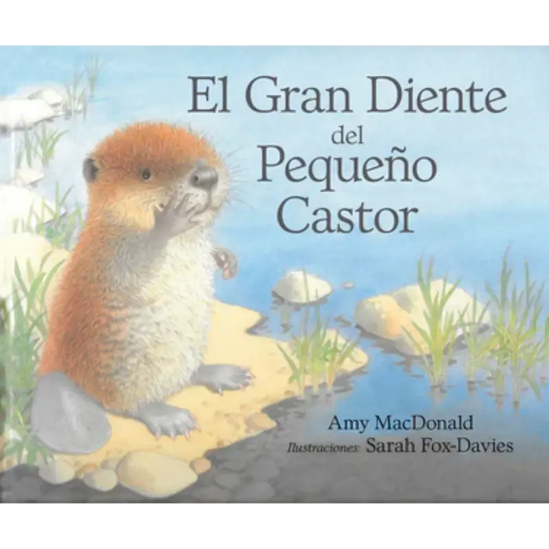 El gran diente del pequeño castor