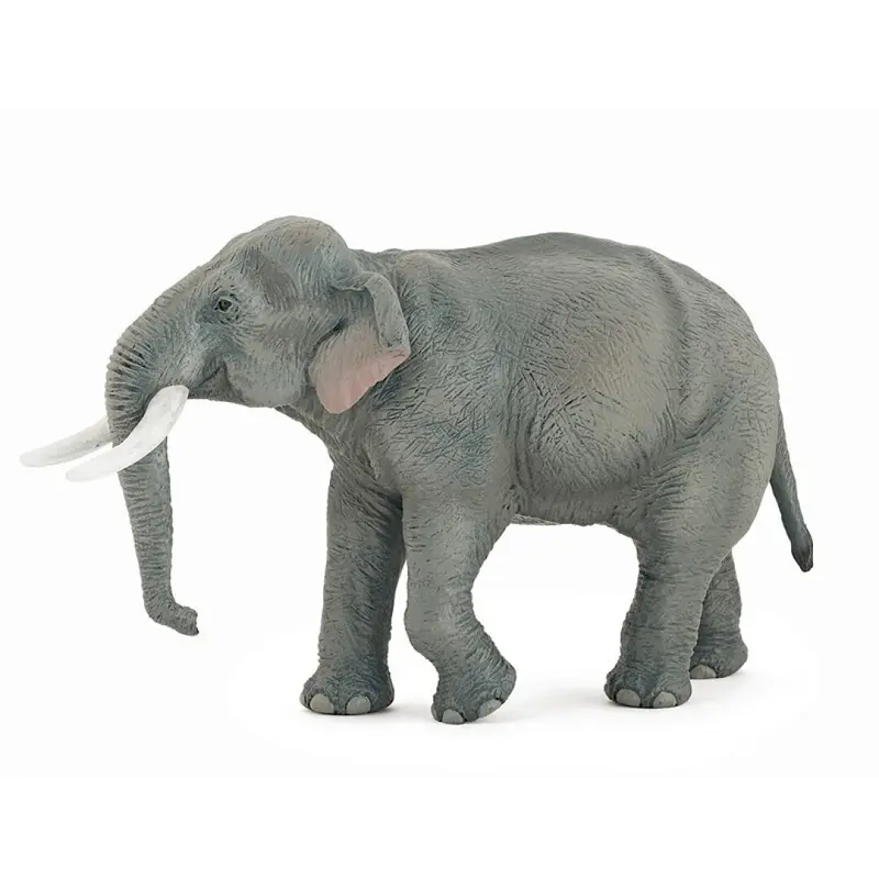 Elefante asiatico