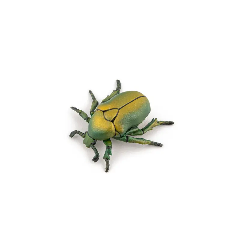 Escarabajo de las Rosas