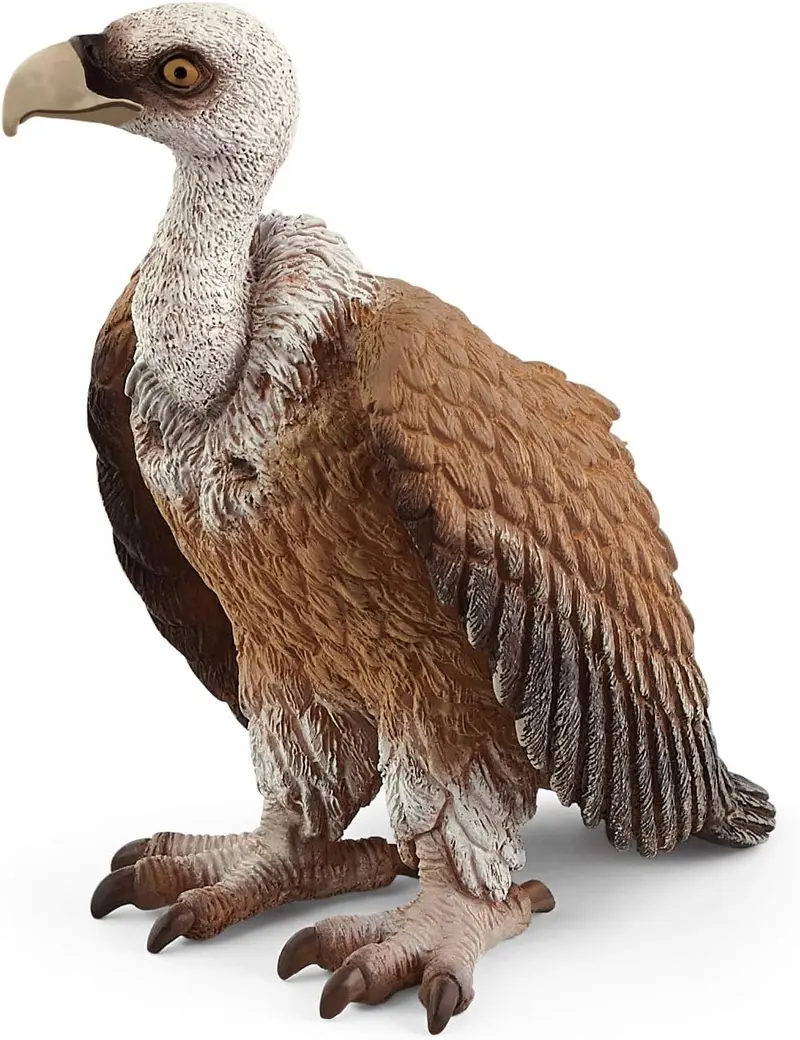 Figura de Buitre Schleich 14847 – Wild Life Coleccionable