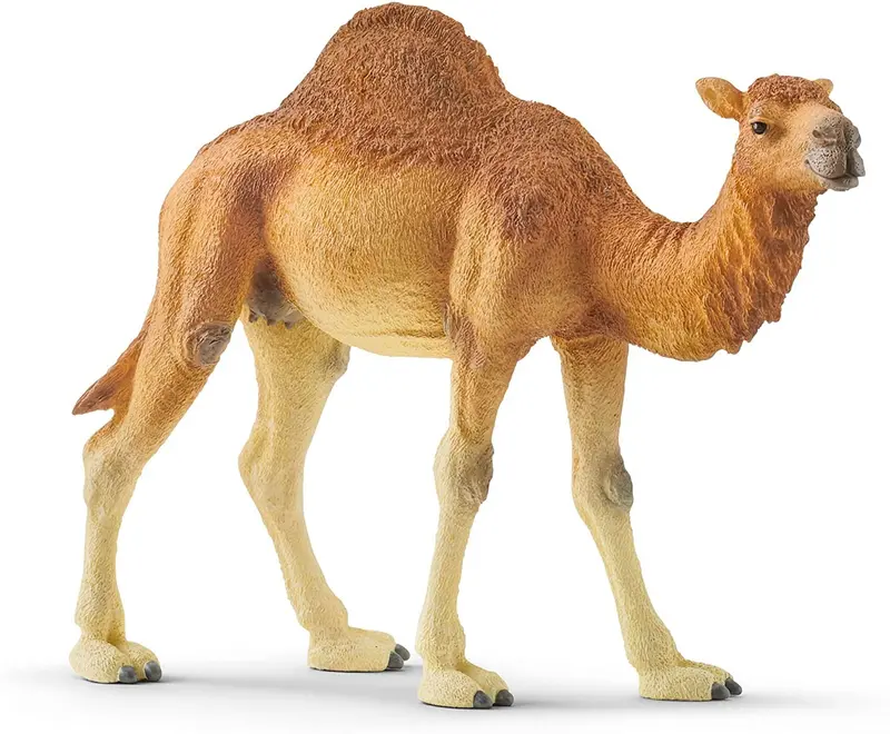 Figura dromedario- schleich