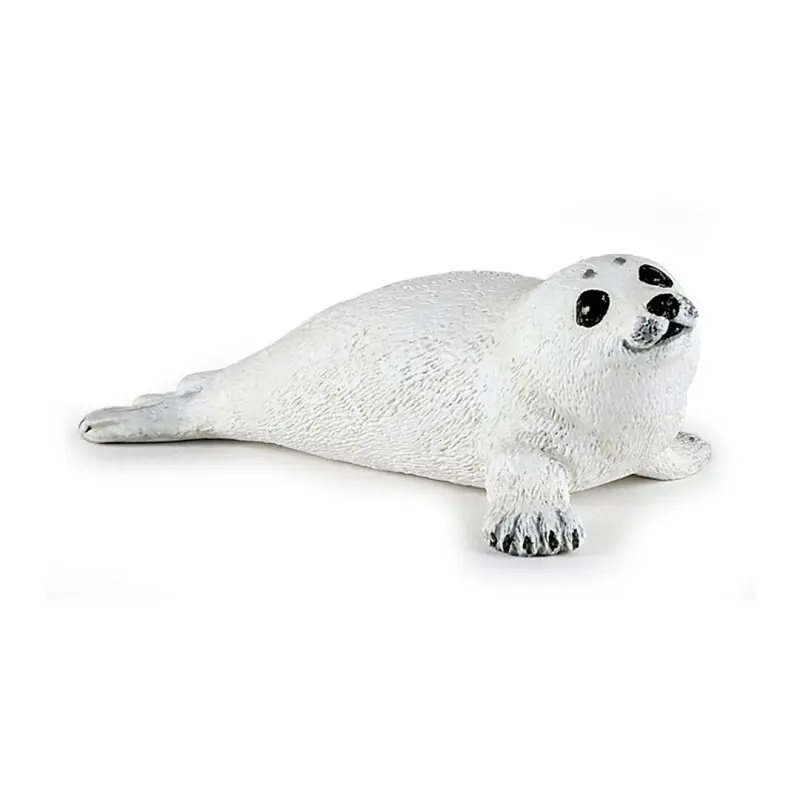 Foca Bebe