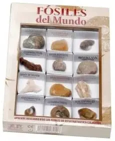 Fosiles del mundo nº2