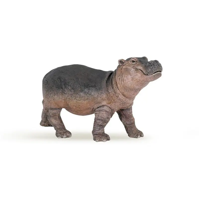 Hipopotamo cria