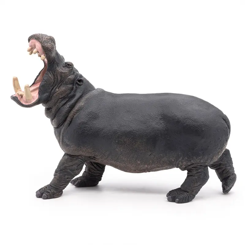 Hipopotamo