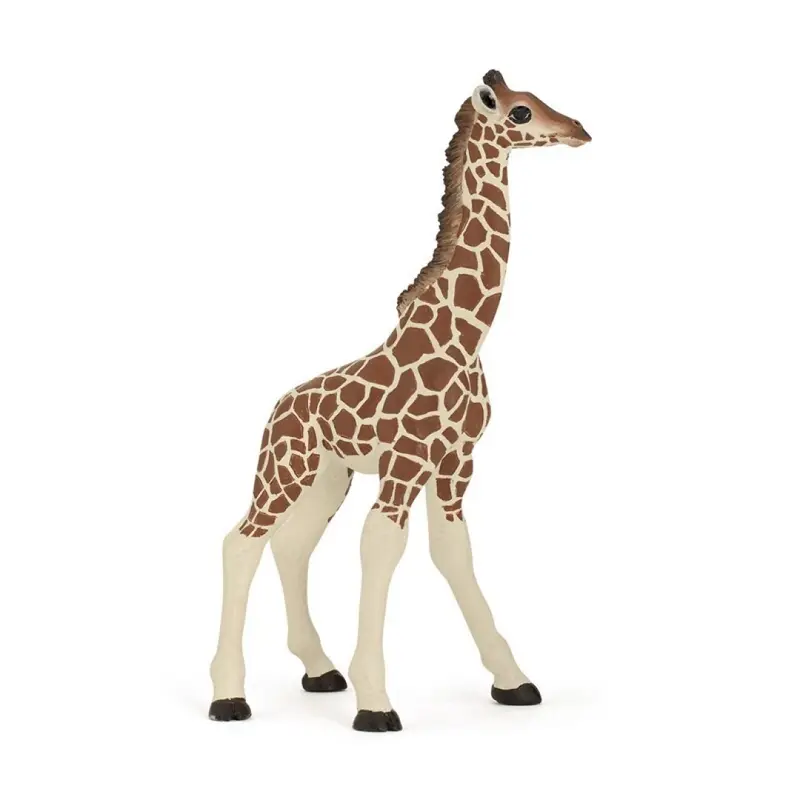 Jirafa cria