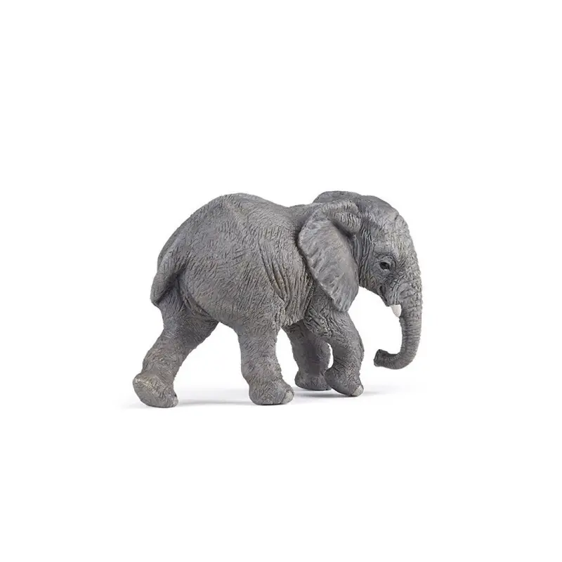Joven Elefante africano