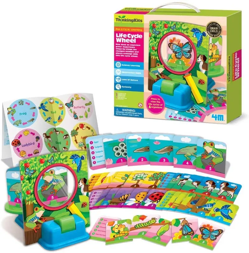Juego ciclo de la vida - Thinkingkits