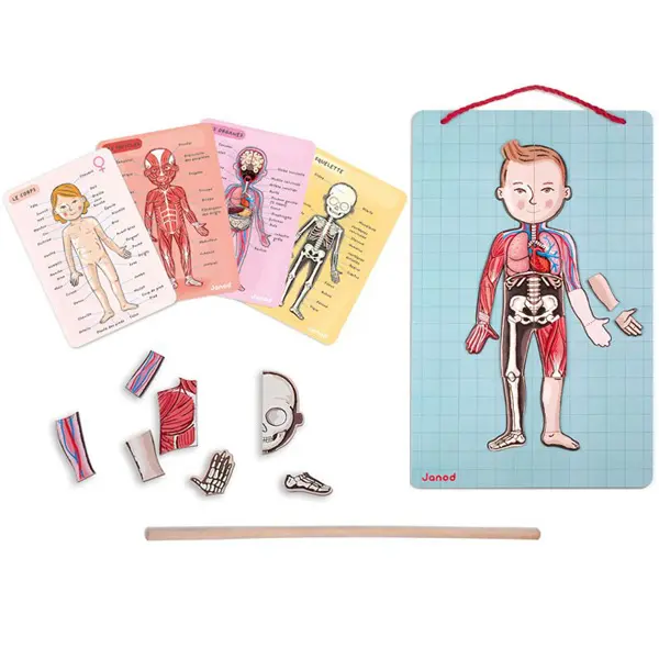 Juego de Anatomía