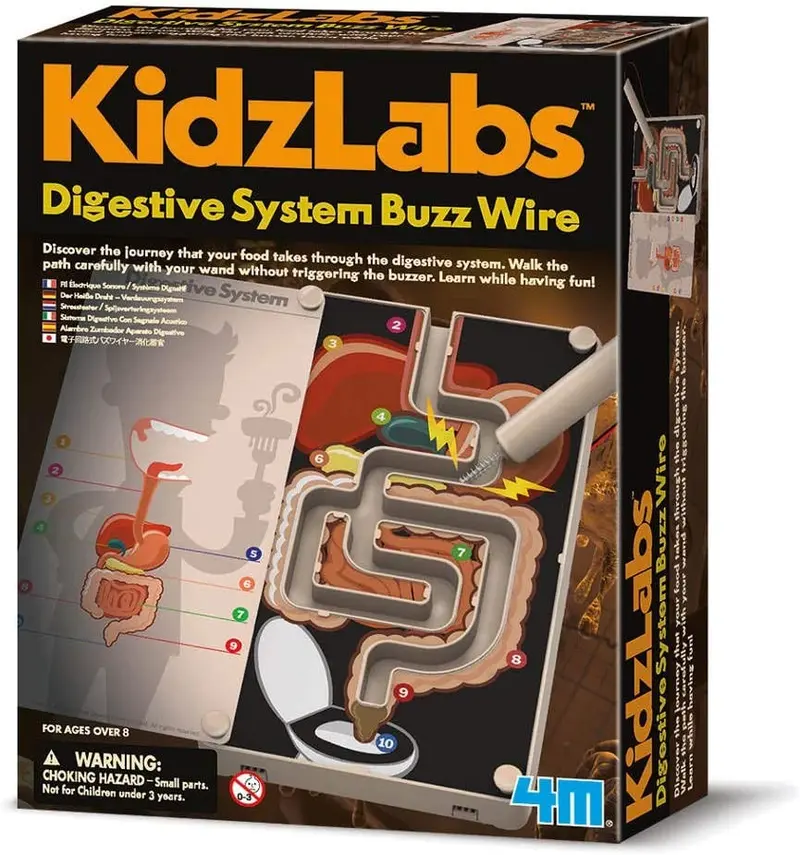 Juego de ciencia el aparato digestivo - 4M 03386