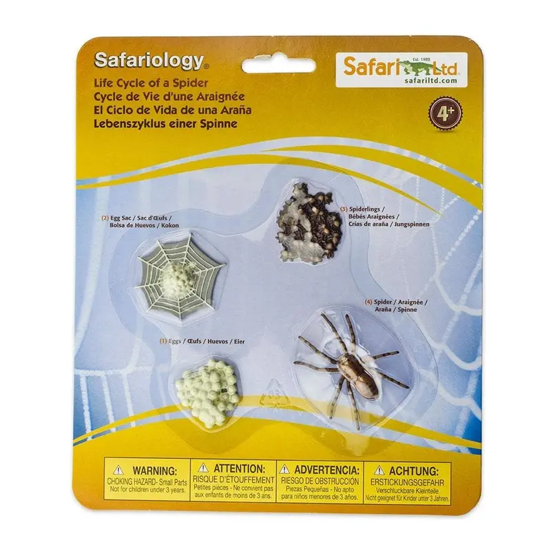 Juego educativo ciclo de la vida de la araña - Safari 100406
