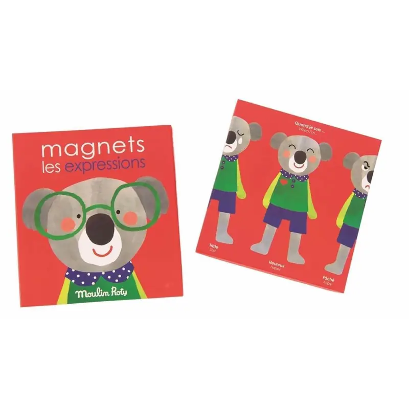 Juego magnético expresiones