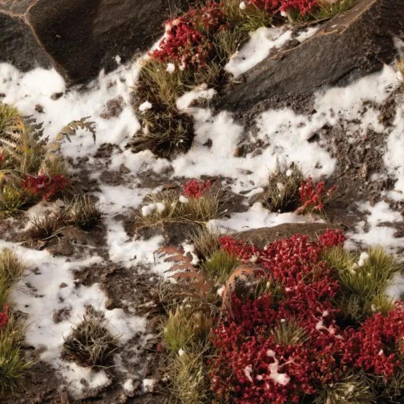 Laliguras Flowers
