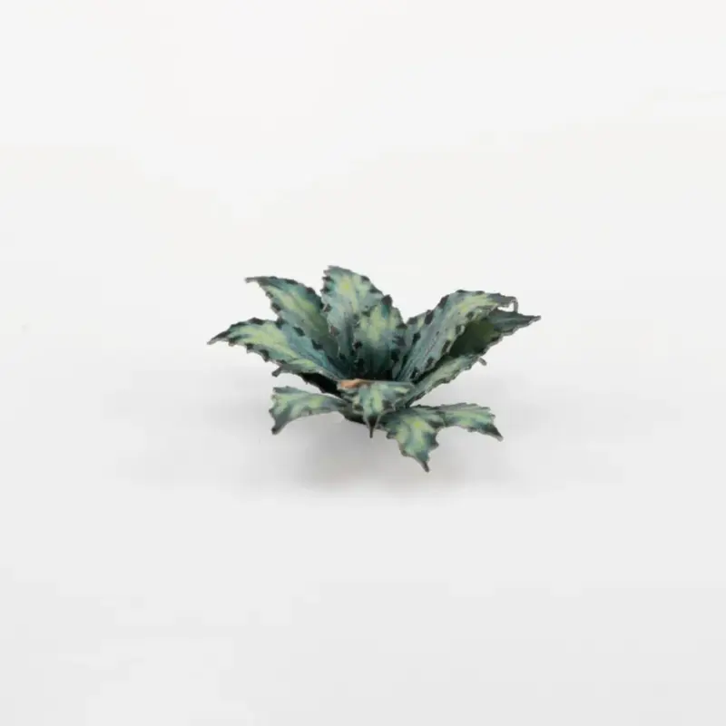 Laser Plants - Blue Agave
