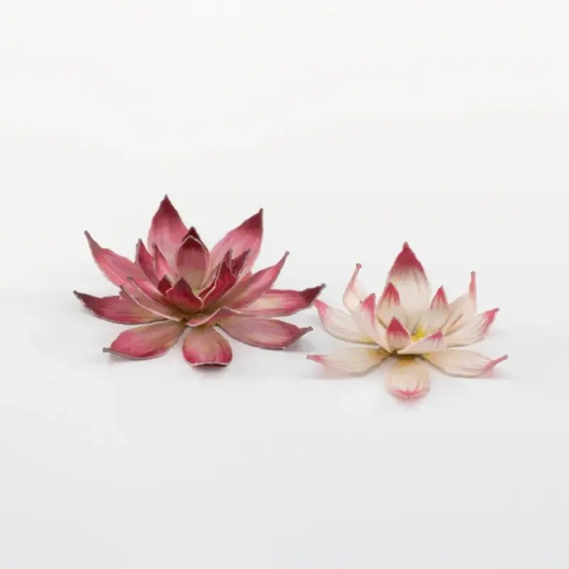 Laser Plants - Lotus Flower
