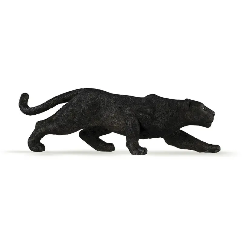 Leopardo negro