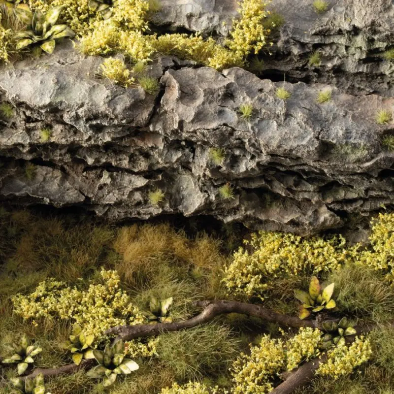 Light Green Shrubs
