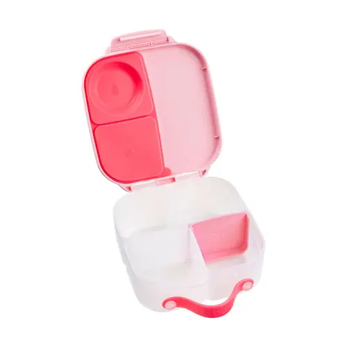 Lunch Box Fuscia