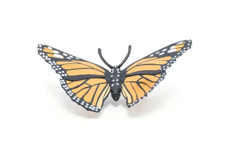 Mariposa