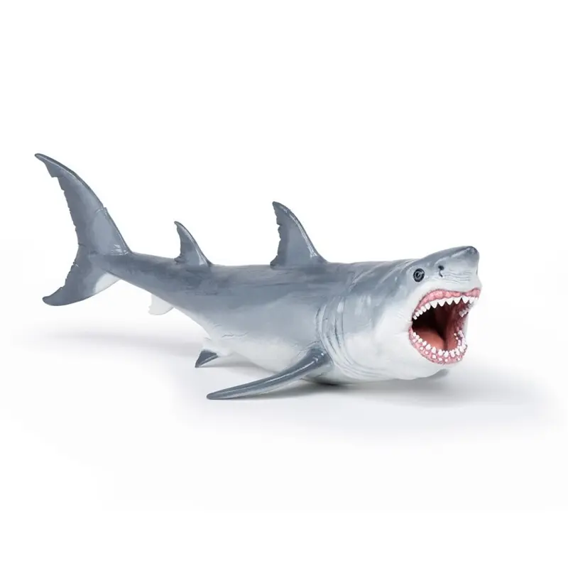 Megalodon