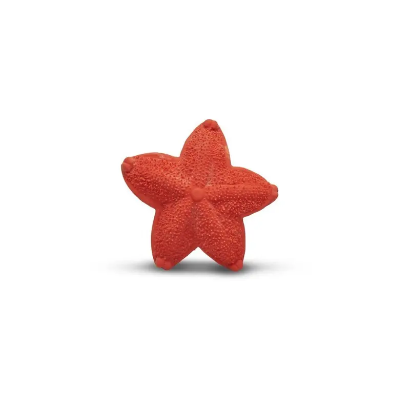 Mordedor Asteroidea