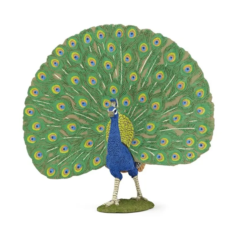 Pavo Real